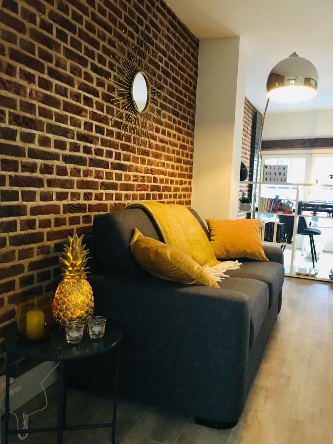 Appartement Heloise, Le Charme Du Vieux-Lille Kültér fotó